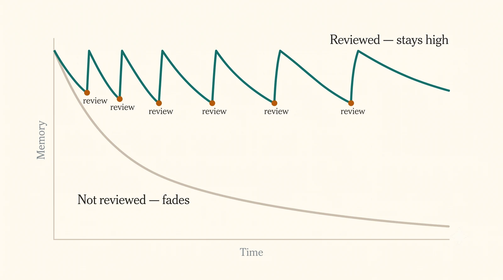 A chart of memory over time. Without spaced review, retention of a phrase fades along a falling curve. Reviewed on a spaced schedule, each review lifts memory back near the top and the intervals between reviews widen as memory strengthens.